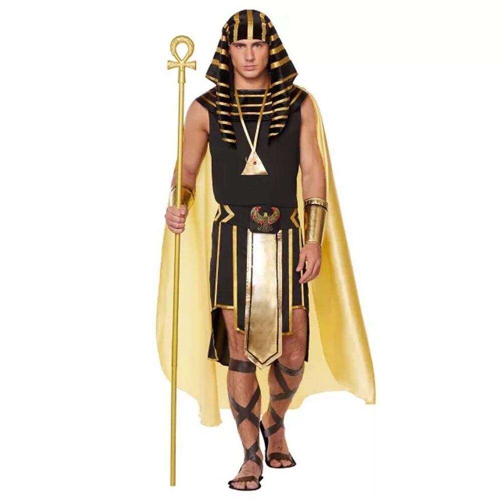 Spirit Halloween Adult King of Egypt Costume Black M Unisex